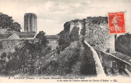 Delcampe - 86-LOUDUN-N°4461-E/0319 - Loudun