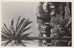 Delcampe - 66-COLLIOURE-N°4465-D/0227 - Collioure