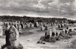 Delcampe - 56-CARNAC-N°4465-D/0089 - Carnac