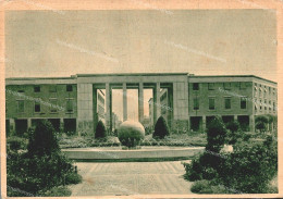 Delcampe - Da974 Cartolina Latina Palazzo Uffici Finanziari - Latina