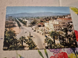 Delcampe - Philippeville - Avenue Raymond-barrot - Skikda (Philippeville)