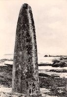 Delcampe - 22-TREGASTEL-N°3342-D/0003 - Trégastel