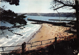 Delcampe - 22-BINIC-N°3342-C/0263 - Binic