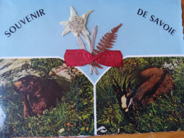 Delcampe - 73 - CPM - Souvenir De SAVOIE - Veritable EDELWEISS Séchée - Blumen