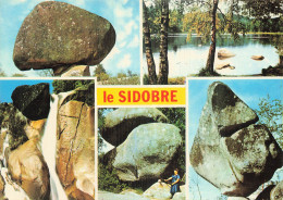 Delcampe - 81 CASTRES LE SIDOBRE - Castres