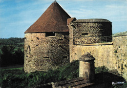 Delcampe - 52 LANGRES LES REMPARTS ET LA TOUR NAVARRE - Langres