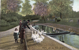 Delcampe - LYON , Parc De La Tete D'Or - Lyon 6