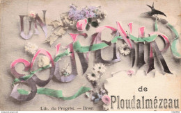 Delcampe - 29 - PLOUDALMEZEAU - S34130 - Un Souvenir - Fleurs - Ploudalmézeau