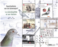 Delcampe - Belgium 2020 History Of Pigeon Sports S/s, Mint NH, Nature - Sport - Birds - Sport (other And Mixed) - Ungebraucht