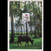 Delcampe - PHILIPPINES 1998 - Maximum Card - 2245i Natl.Flag Opt. - Philippines