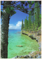 Delcampe - NOUVELLE CALEDONIE NOUMEA CATHEDRALE SAINT JOSEPH - Nouvelle Calédonie