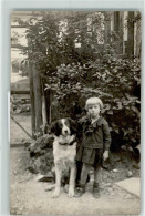 Delcampe - 39283629 - English Springer Spaniel Kind - Hunde