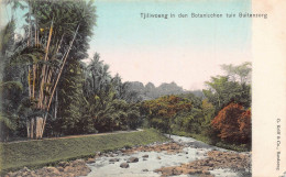 Delcampe - L228 Indonesia Dutch East Indies Buitenzorg Botanical Garden Postcard - Indonesia