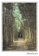 Delcampe - 30-ANDUZE-N°TB3553-B/0119 - Anduze