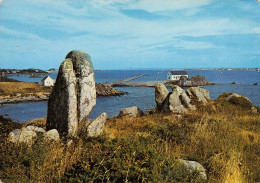 Delcampe - 29-ILE DE BATZ-N°TB3553-B/0063 - Ile-de-Batz