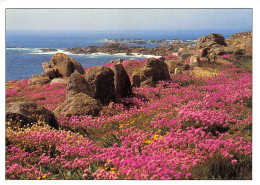 Delcampe - 29-BENODET-N°TB3553-B/0039 - Bénodet