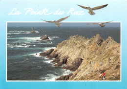Delcampe - 29-LA POINTE DU RAZ-N°TB3553-A/0387 - La Pointe Du Raz