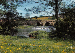 Delcampe - 29-CARHAIX-N°TB3553-A/0371 - Carhaix-Plouguer