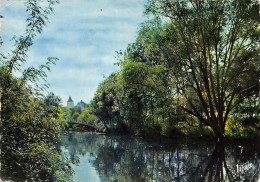 Delcampe - 28-CHATEAUDUN-N°TB3553-A/0357 - Chateaudun