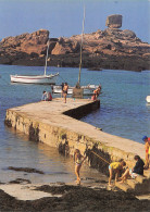 Delcampe - 22-TREGASTEL-N°TB3553-A/0165 - Trégastel