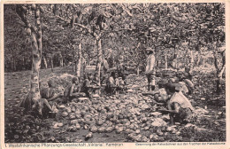 Delcampe - BG32700 Cameroon Westfrikanische Pflanzungs Gesellschaft Viktoria Kamerun Types - Wereld