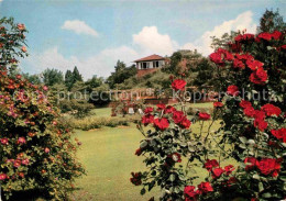 Delcampe - STUTTGART  CITY Hoehenpark Killesberg - Stuttgart