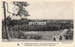 Delcampe - Genk  - Landbouweconomie - De Dennenbosstroken - Genk