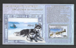 Delcampe - Congo 2006 Animals - Dogs MS MNH - Honden