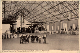 Delcampe - Kamerun - Westafrikanische Pflanzungs Gesellschaft Viktoria - Kamerun