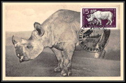 Delcampe - Allemagne (germany) Ddr - Carte Maximum Card 2251 RHINOCEROS 1956 Nashorner - Rinocerontes