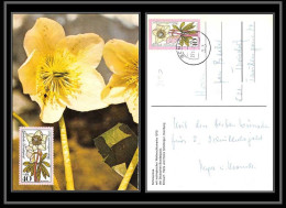 Delcampe - Allemagne (germany) - Carte Maximum Card 2190 Fleurs (fleur Flower Flowers) Schneerose 1975 - Otros & Sin Clasificación