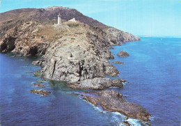 Delcampe - 66 COLLIOURE LA COTE VERMEILLE LE CAP BEAR - Collioure