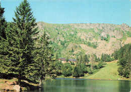 Delcampe - 68 MUNSTER FERME AUBERGE LAC DU FORLET - Munster