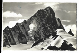 Delcampe - Suisse - Das  Finsteraarhorn Vom Oberaajoch - Beatenberg