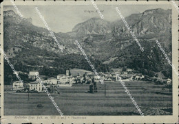 Delcampe - Bs451 Cartolina Saluti Da Bellagio Provincia Di Como Lombardia - Como