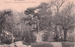 Delcampe - 50 AVRANCHES PORTAIL ROMAIN AU JARDIN DES PLANTES - Avranches