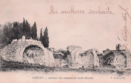 Delcampe - 17 SAINTES VESTIGES DES THERMES DE SAINT SALOINE - Saintes