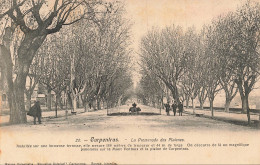 Delcampe - FRANCE - Carpentras - Promenade Des Platanes - Mont Ventoux - Edition Nouvelles Galeries - Carte Postale Ancienne - Carpentras