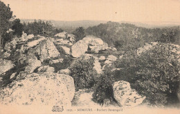 Delcampe - 77 NEMOURS ROCHERS BEAUREGARD - Nemours