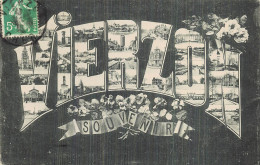 Delcampe - 18 VIERZON SOUVENIR - Vierzon