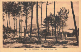 Delcampe - 29 TREBOUL BOIS D ISIS - Tréboul