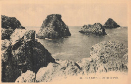 Delcampe - 29 CAMARET SUR MER LES TAS DE POIS - Camaret-sur-Mer