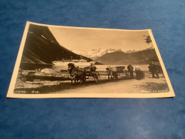 Delcampe - CPA Norvège Oie  Bateau Et Attelages Photo Atelier K.k Bergen - Noorwegen