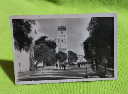 Delcampe - *A-Dlc-16*- Cp04 - MOGADOR : Le Grand Méchouar - RARE CLICHÉ - - Mogador