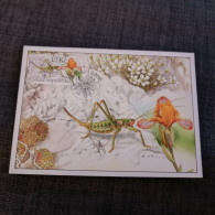 Delcampe - Carte Maximum De Republique Tchèque,2010 - Storia Postale