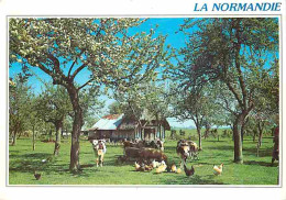 Delcampe - Animaux - Vaches - Normandie - Pommiers En Fleurs - Poules - CPM - Voir Scans Recto-Verso - Vacas