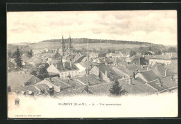 Delcampe - CPA Blamont, Vue Panoramique, Vue Générale - Blamont