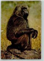 Delcampe - 39684030 - Gibbon African Wildlife - Singes