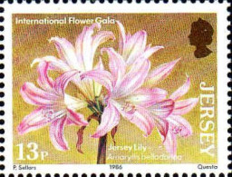 Delcampe - Jersey Poste N** Yv:366 Mi:372 Lily-amaryllis Belladonna - Jersey