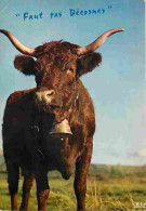 Delcampe - Animaux - Vaches - Carte Humoristique - Cloche - CPM - Voir Scans Recto-Verso - Vacas